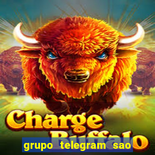 grupo telegram sao jose do rio preto